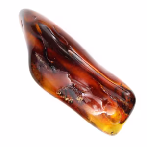 Gepolijste barnsteenkiezel uit Litouwen - mineraal decoratief object