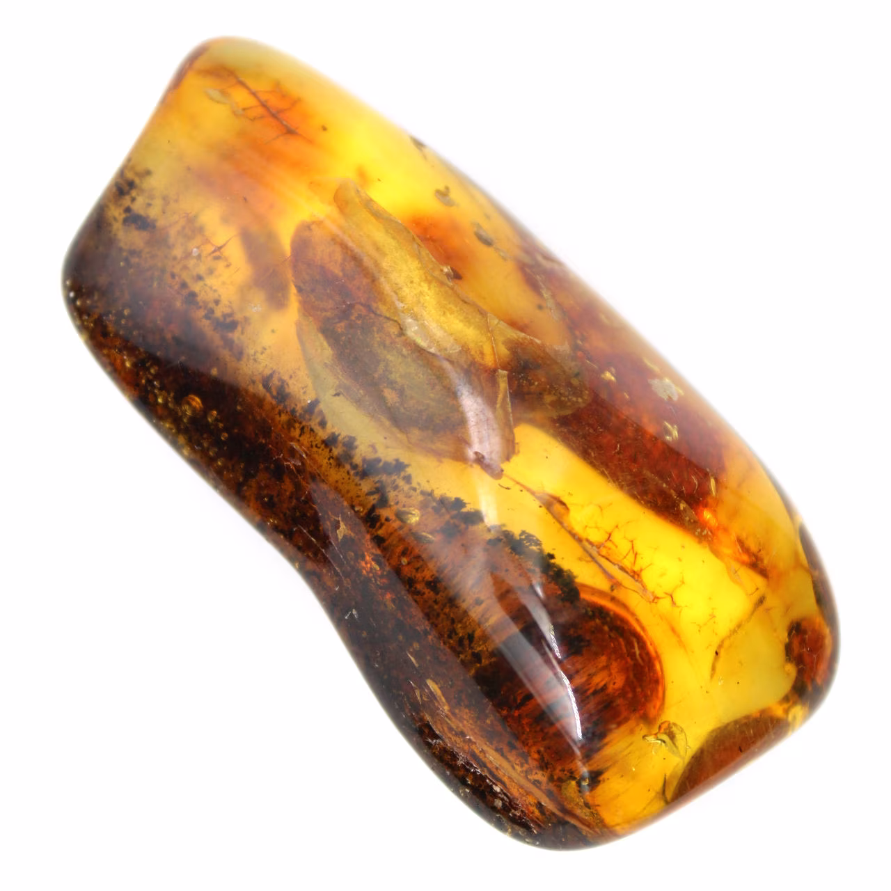 Kleine gepolijste barnsteenkiezel uit Litouwen - Mineralogische collectie