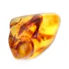 Gepolijste amberkiezel uit Litouwen - authentiek verzamelobject - 0