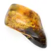 Kleine gepolijste Baltische barnsteenkiezel - Authenticiteit gegarandeerd - 2