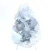 Decoratief exemplaar blauwe celestien Madagaskar - 0