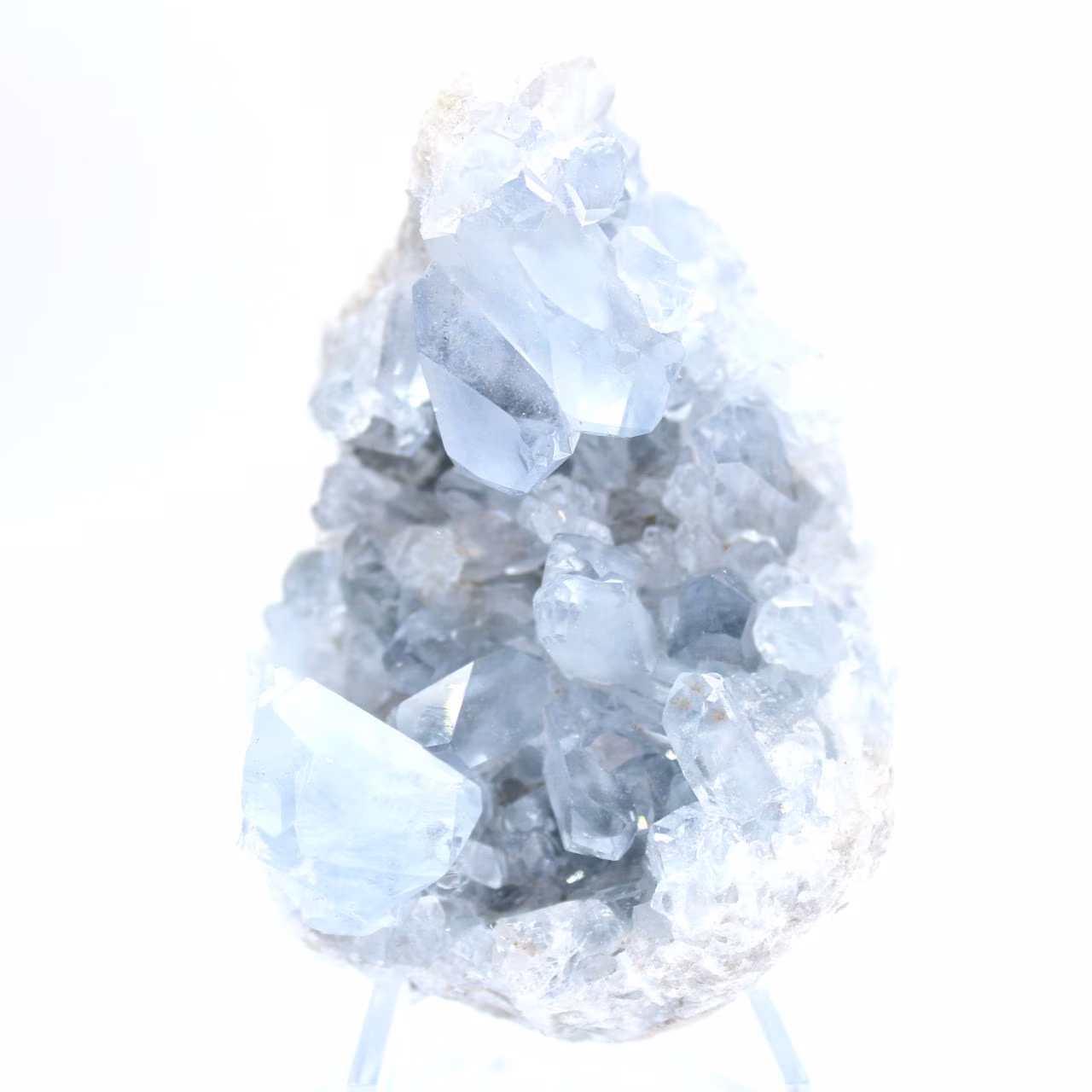Decoratief exemplaar blauwe celestien Madagaskar