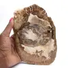 Versteend houten ornament, gepolijste plak, verzamelobject, Madagaskar - 0