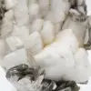 Klein exemplaar van mica op witte kwarts - 7