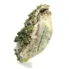 Marokkaanse groene epidoot op een natuurlijke matrix - 3