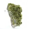 Kleine groene epidoot op Marokkaanse matrix - 5