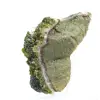 Groene epidoot uit Marokko op dunne matrix - 5