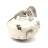 Ammonietspecimen uit Madagaskar - Gepolijst fossiel voor verzamelaars - 2