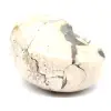 Ammonietspecimen uit Madagaskar - Gepolijst fossiel voor verzamelaars - 3