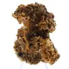 Ouichane bariet, bruine kristallen - 1