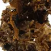 Ouichane bariet, bruine kristallen - 4