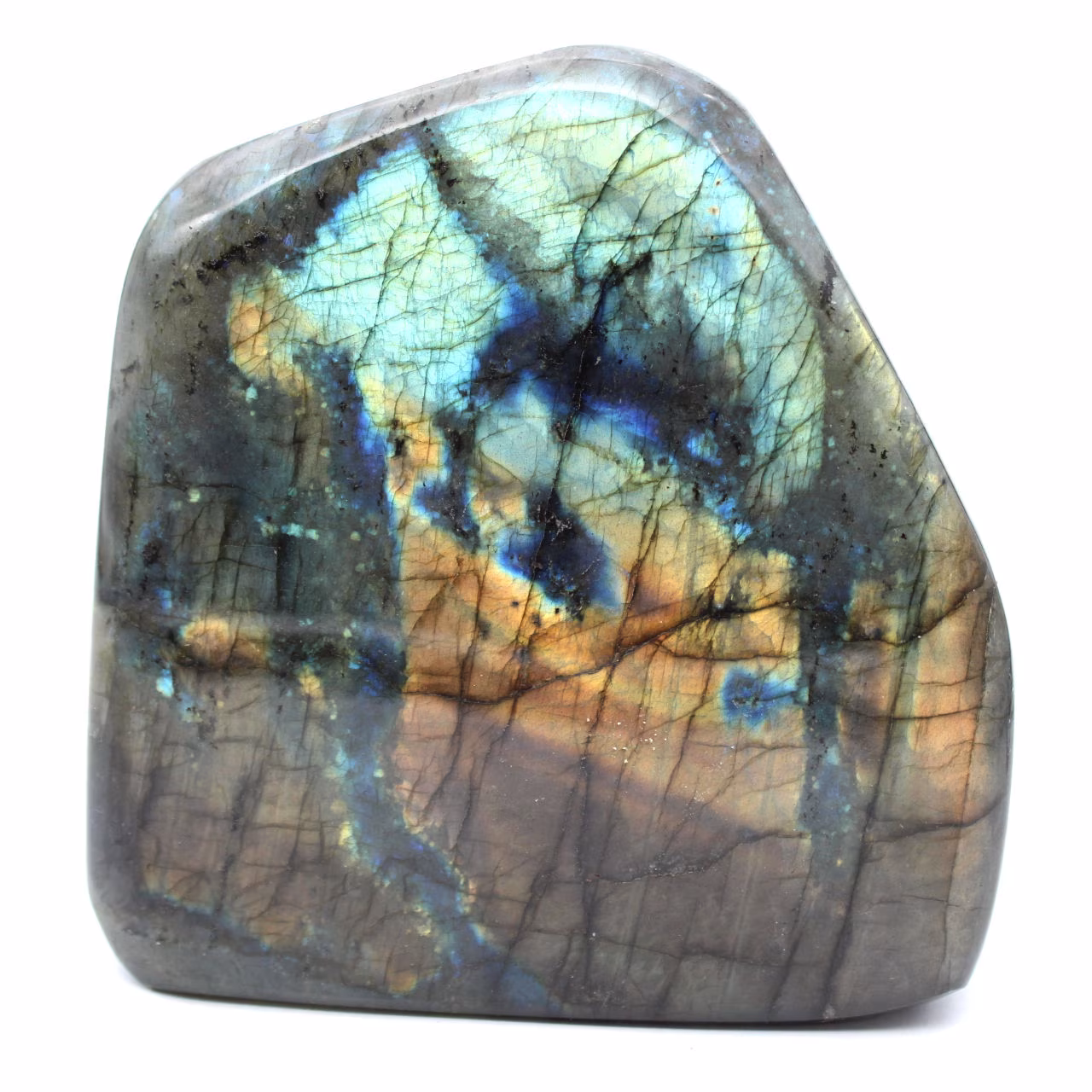 Gepolijst labradoriet, mineralogisch specimen