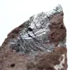 Pyrolusiet, een verzamelobject met prachtige kristallisaties. - 2