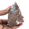 Pyrolusiet, een verzamelobject met prachtige kristallisaties. - 1