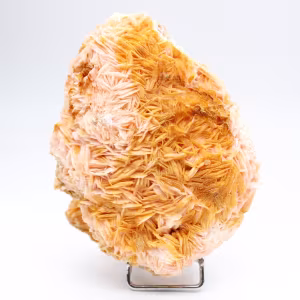Oranje bariet uit Marokko met duidelijke kristallisatie.