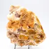 Exemplaar van Marokkaanse oranje bariet in natuurlijke kristallen. - 7