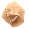 Kleine woestijnroos van Marokko: natuurlijk geologisch fragment - 5