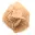 Kleine woestijnroos van Marokko: natuurlijk geologisch fragment — 5