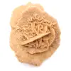 Kleine woestijnroos van Marokko: natuurlijk geologisch fragment - 9