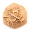 Kleine woestijnroos van Marokko: natuurlijk geologisch fragment - 12
