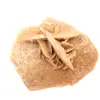 Minerale rozet van Marokko: gipskristallisatie - 0