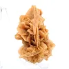 Fragment van gekristalliseerd gips uit Algerije - 3