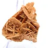 Minerale bloemblaadjes van de Algerijnse Sahara - 2
