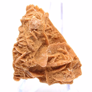 Minerale bloemblaadjes van de Algerijnse Sahara
