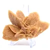 Authentieke gipskristallisatie - 2