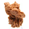 Saharaanse gipskristalcluster - 0