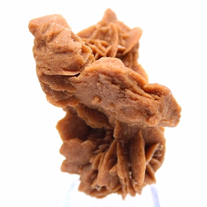 Saharaanse gipskristalcluster
