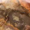 Versteend Majunga-hout - Natuurlijk gevormde, gepolijste plak - 4