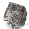 Grote zwarte toermalijn uit Madagaskar - Authentiek mineraal - 2