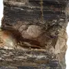 Mineralogisch specimen - Ruwe zwarte toermalijn uit Madagaskar - 5