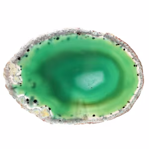 Gepolijste groene agaatschijf – Braziliaans exemplaar 205 g