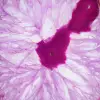 Natuurlijke roze getinte agaatplak - 2
