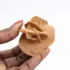 Mini Marokkaanse woestijnroos: een exemplaar van natuurlijk gips. - 1