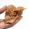 Woestijnroos van Marokko: een aanzienlijk gipskristal - 1