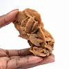 Minerale structuur van de Algerijnse woestijn - 1