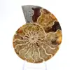 Ammoniet uit Madagaskar: zachtheid en authenticiteit - 1