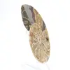 Ammoniet uit Madagaskar: zachtheid en authenticiteit - 3