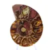 Ammoniet uit Madagaskar: Minerale zuiverheid - 1