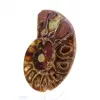 Ammoniet uit Madagaskar: Minerale zuiverheid - 2
