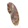 Ammoniet uit Madagaskar: Minerale zuiverheid - 3