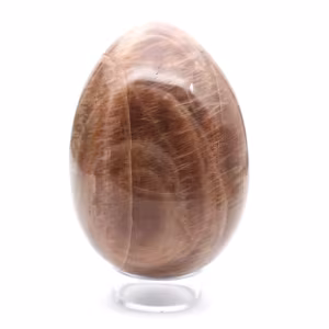 Zwarte maansteen - Microklien ei 455 g