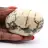 Veldspaatkiezelsteen uit Madagaskar – Geologisch specimen