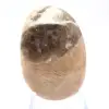 Malagassische veldspaatkiezelsteen – Natuurlijk exemplaar - 2