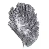 Cyanite noire du Brésil, silicate d'aluminium sur socle 25 g - 4