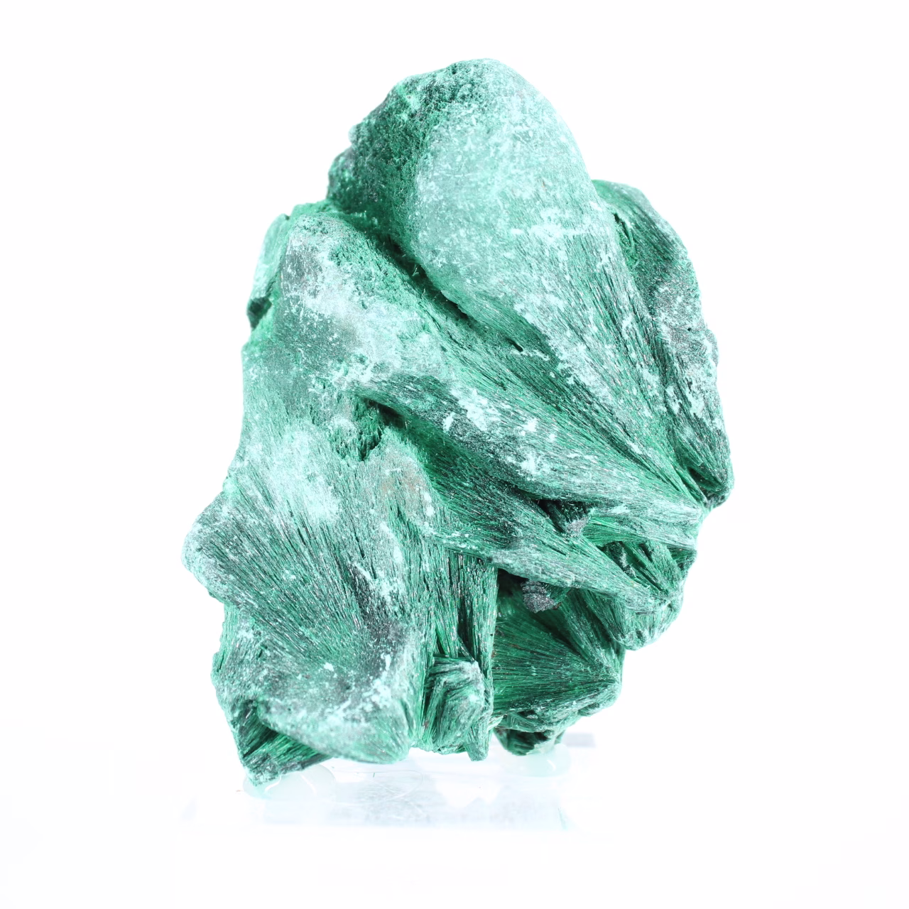 Zijdeachtige malachiet uit Congo-Kinshasa, verzamelmineraal op voet
