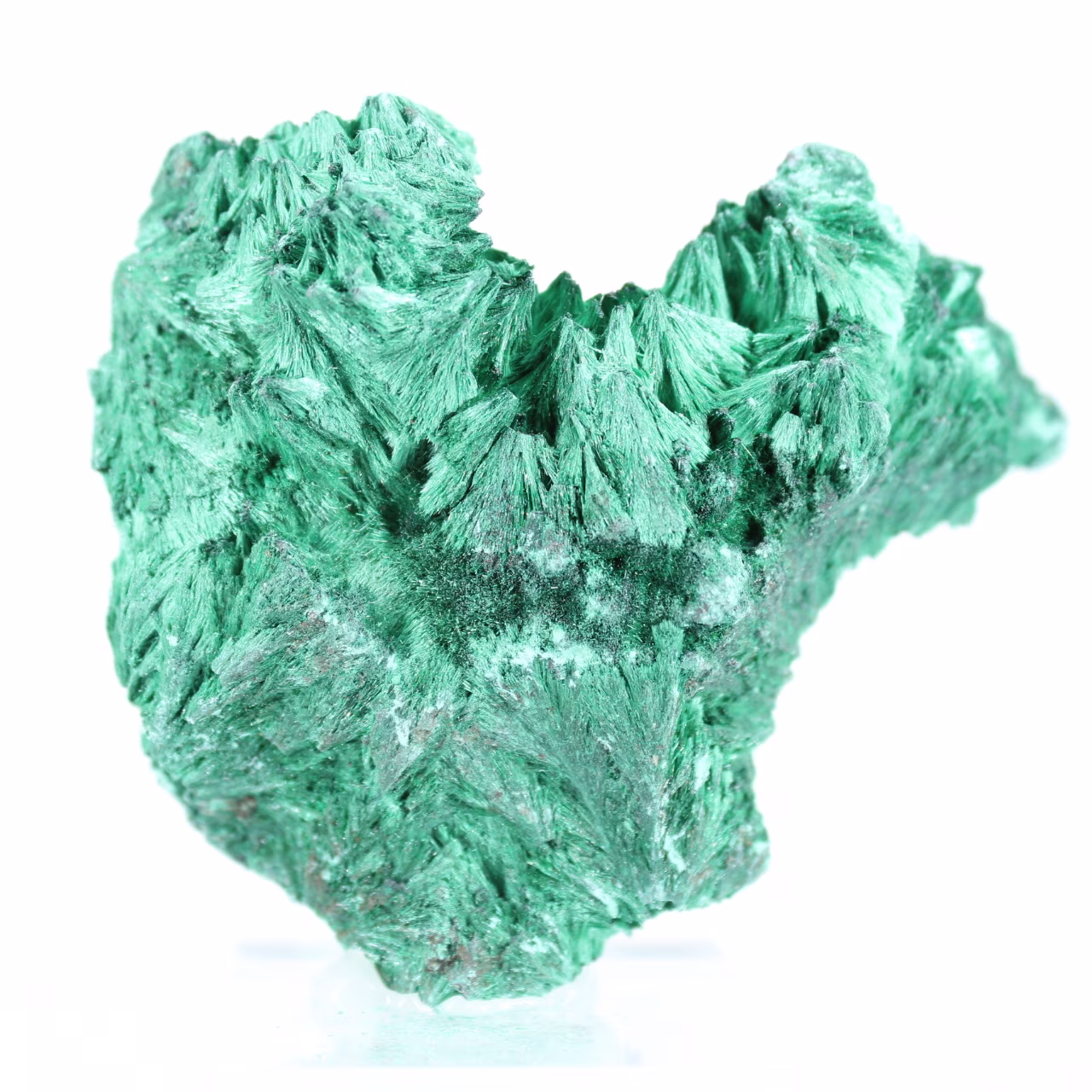 Malachietspecimen met groene vezels uit Congo, acrylen standaard